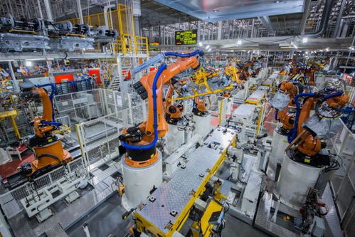 市政府常務(wù)會議 全力配合中央生態(tài)環(huán)保督察 加速數(shù)字貸工程風險補償資金發(fā)放